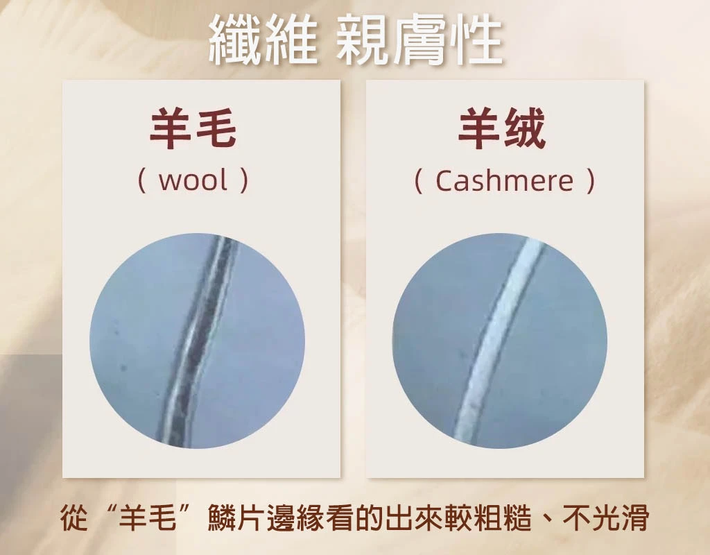 羊毛VS羊絨